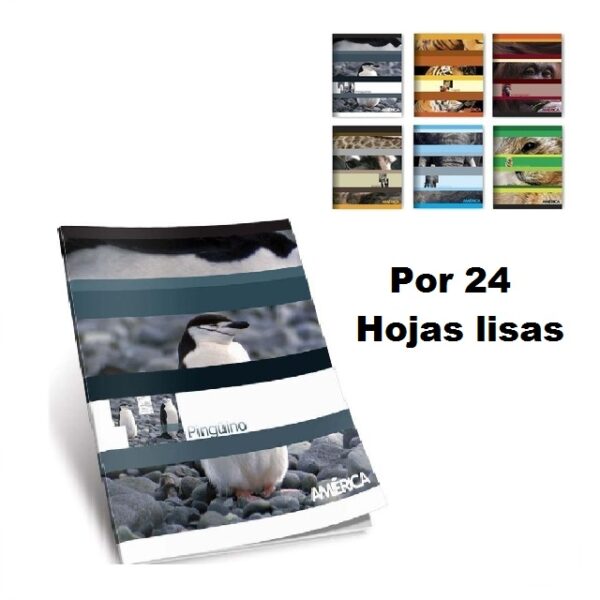 Cuaderno America Tapa Flexible X 24 Hojas Lisas