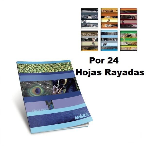 Cuaderno America 24 Hojas Rayadas Tapa Flexible