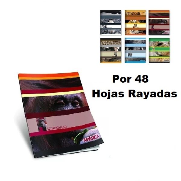 Cuaderno America Tapa Flexible 48 Hojas