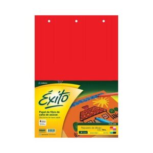 Repuesto Nº5 De Dibujo Exito De Color