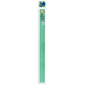 Regla Plastica Pizzini 60Cm