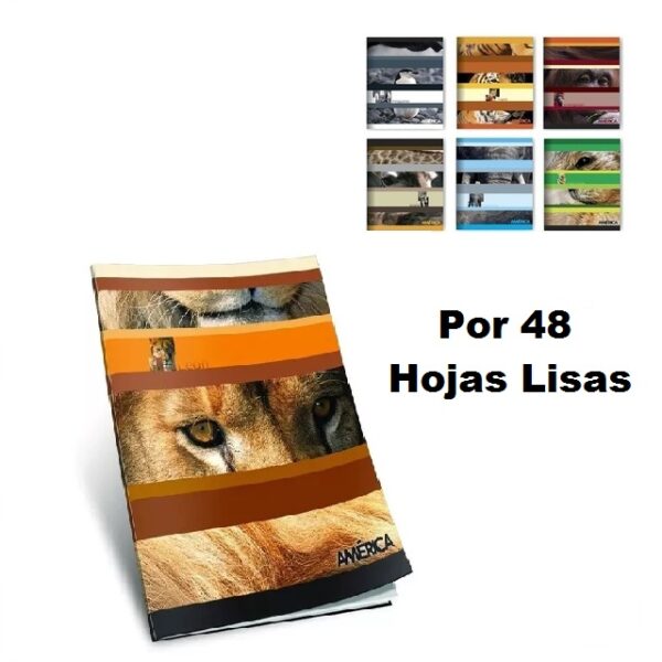 Cuaderno America X48 Liso