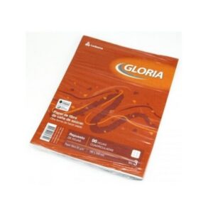 Repuesto Gloria N3 X 48 Hojas Rayadas