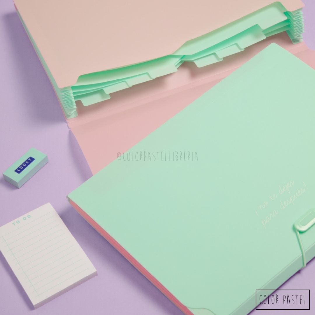 Carpeta Clasificadora A4 Fw Pastel 9 Divisores