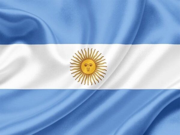 Bandera Argentina Con Sol 50x100