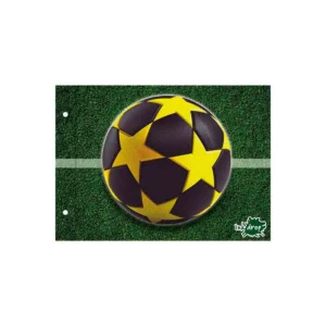 CARPETA N°5 CON CORDONES fútbol