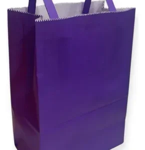 BOLSA LISA ROMIPACK COLOR VIOLETA 14X20