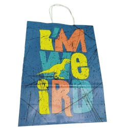 Bolsa Fantasia Kraft 18x20 Dinos