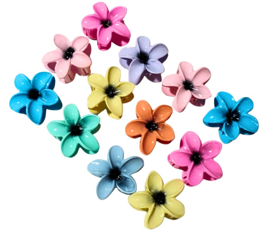 Broches De Pelo Blister x 3 Unidades