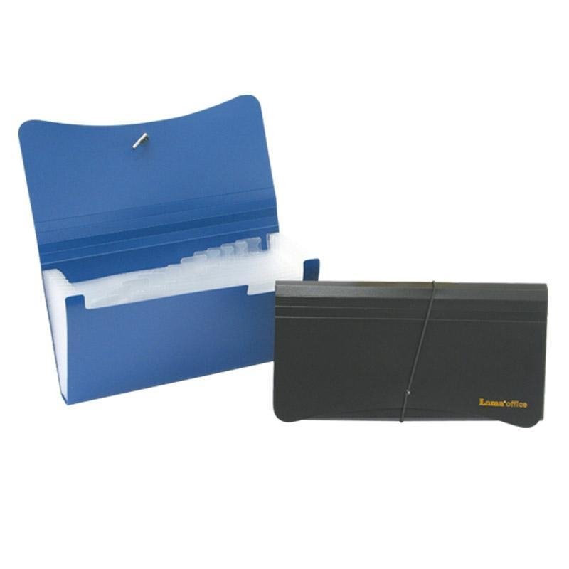 Carpeta Clasificadora Esquela 12 Divisiones