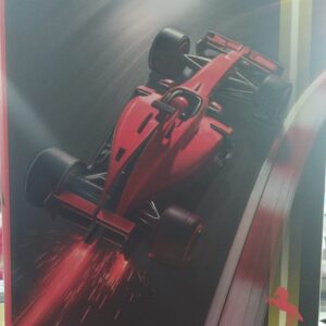 Carpeta 3 Anillos RY Formula 1