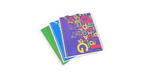 Cuadernola Asamblea Con Separadores 120 Hojas