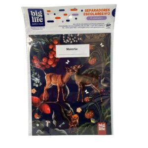 Separadores Big Life A4 x 6 Unidades