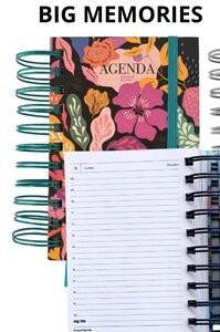Agenda 2027 BigLife Memories 10x15